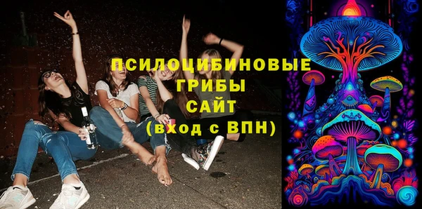 соль ск Дмитров