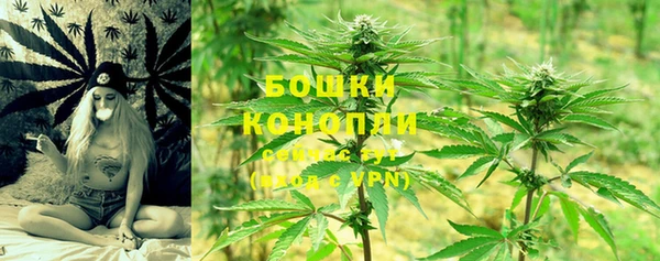 бошки Дмитровск
