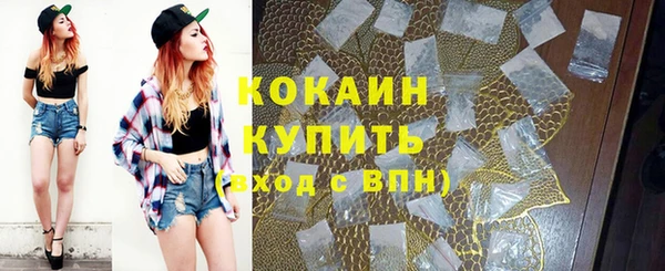 соль ск Дмитров