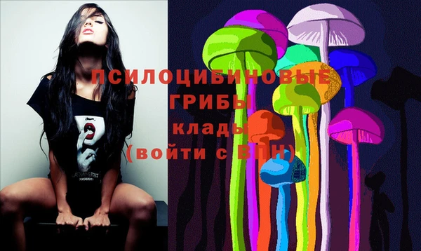 меф VHQ Дмитриев