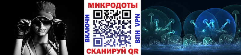 Купить закладки  Каргат  Псилоцибиновые грибы мицелий 